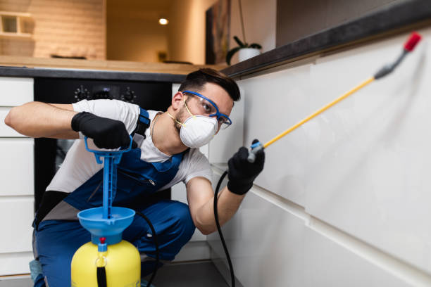 Best Cockroach Control Services  in Rumson, NJ