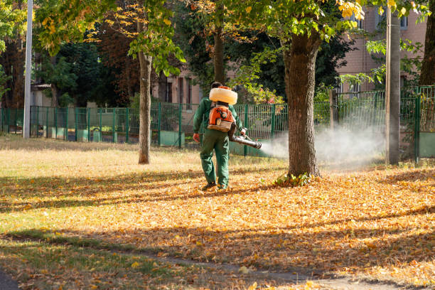 Best Wildlife Control Services  in Rumson, NJ